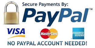 Secure Payments by Paypal